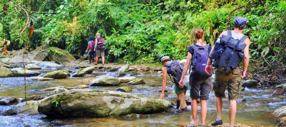 Tracking Hutan