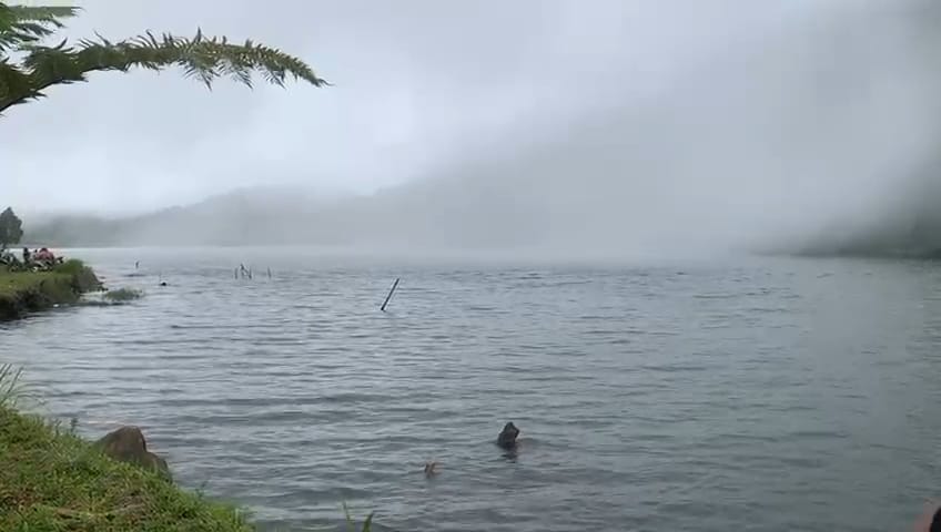 Pamah View