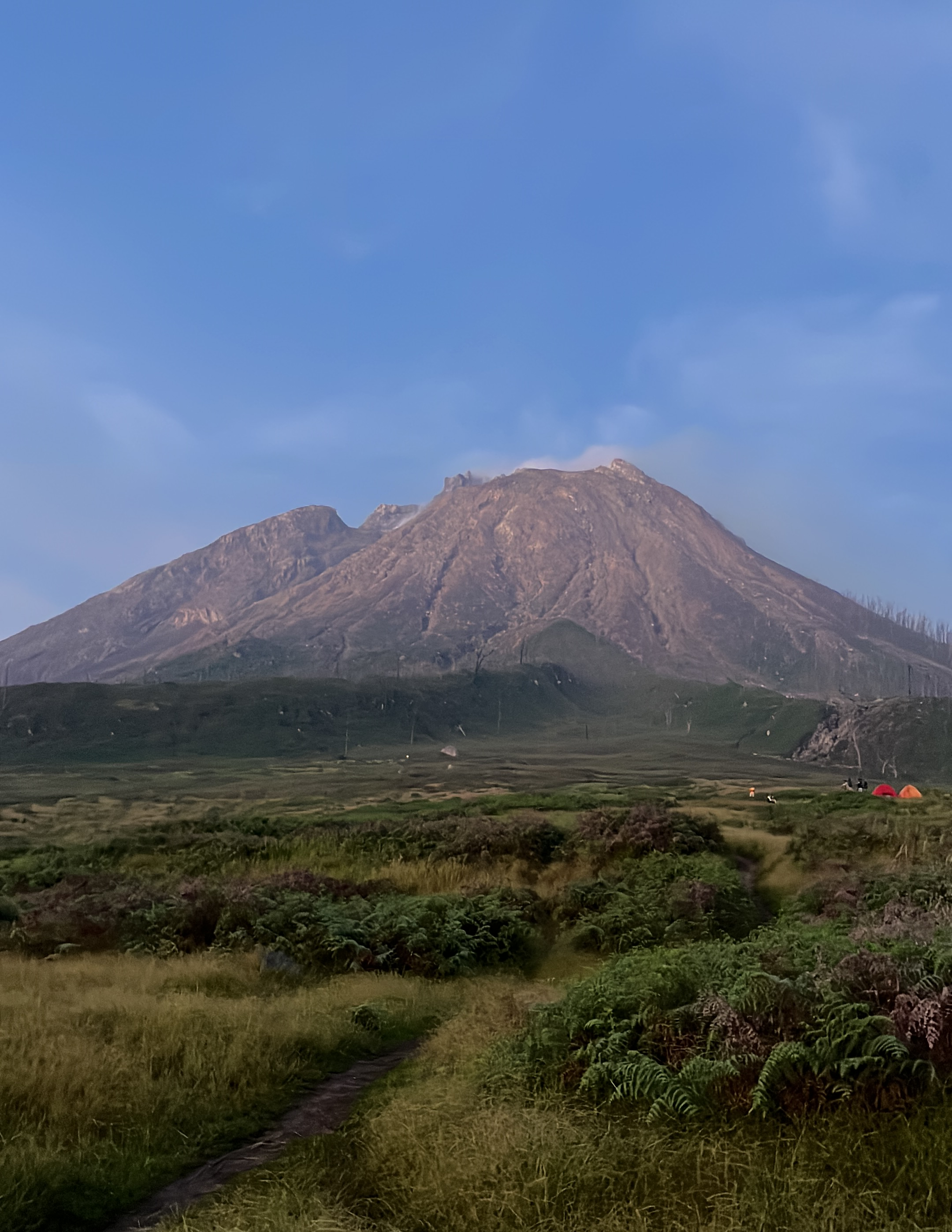 Pamah View